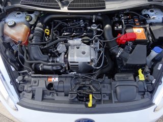 /photos/10807/3fbe7041-f813-364f-c68f-6dd5b1f988d6_i320x240.jpg