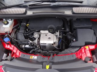 /photos/10807/663a5961-f2ab-6bbb-0bd2-c7d63e86a81c_i320x240.jpg